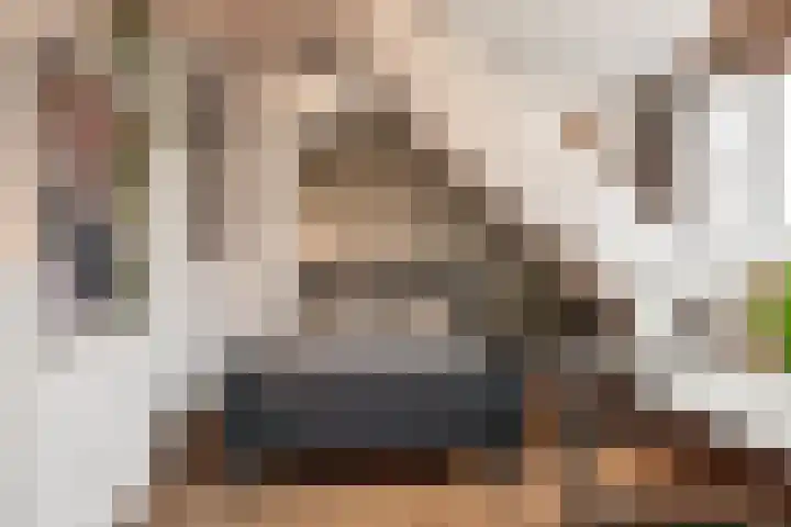 Da Costalaan 18 Driehuis NH thumbnail 26