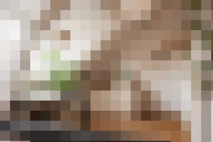Da Costalaan 18 Driehuis NH thumbnail 28
