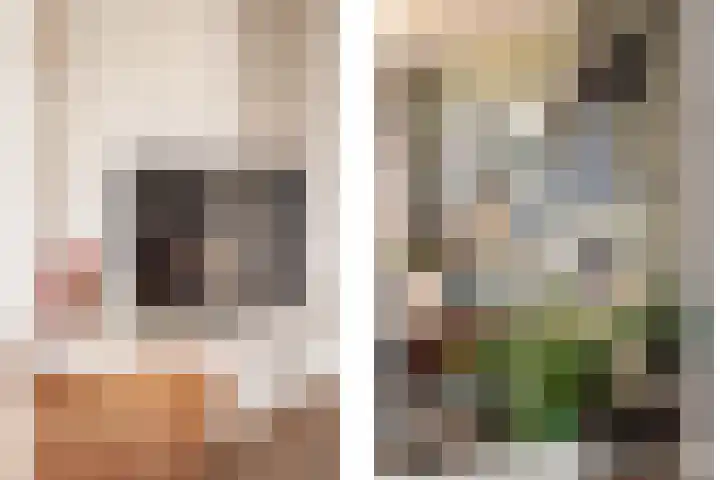Da Costalaan 18 Driehuis NH thumbnail 36
