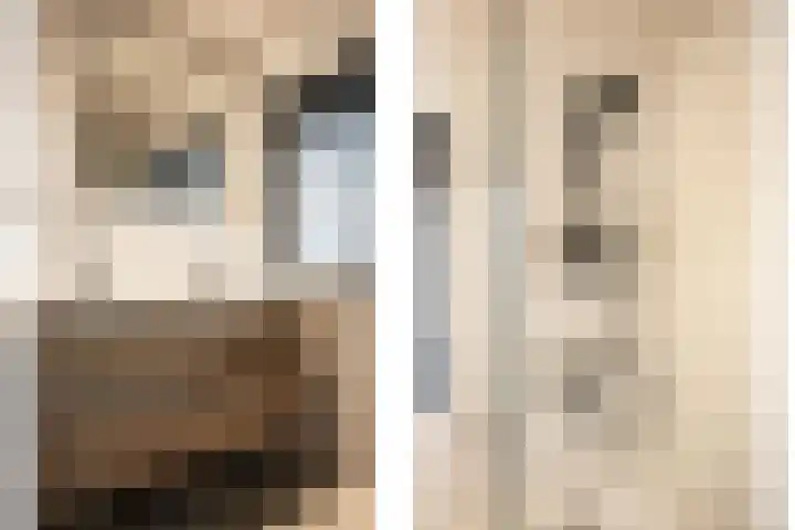 Da Costalaan 18 Driehuis NH thumbnail 38