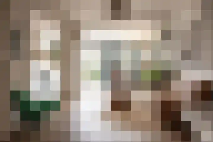 Da Costalaan 18 Driehuis NH thumbnail 4