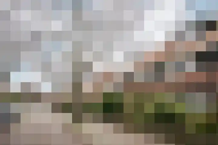 Da Costalaan 18 Driehuis NH thumbnail 5