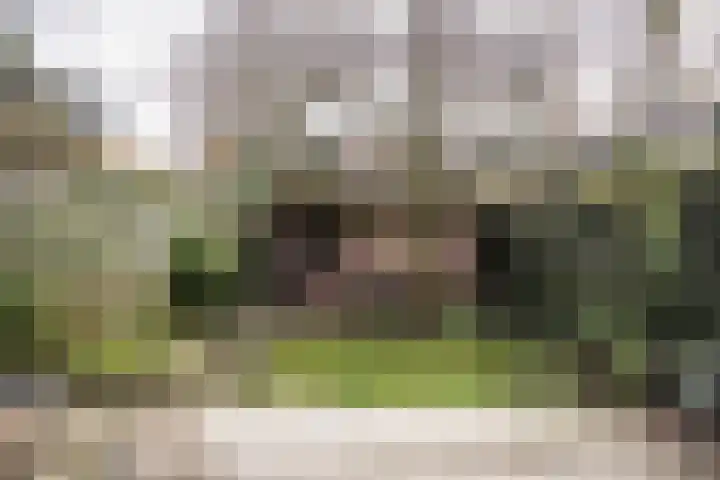 Da Costalaan 18 Driehuis NH thumbnail 6
