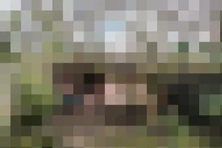 Da Costalaan 18 Driehuis NH thumbnail 7