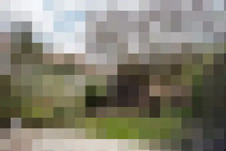 Da Costalaan 18 Driehuis NH thumbnail 8