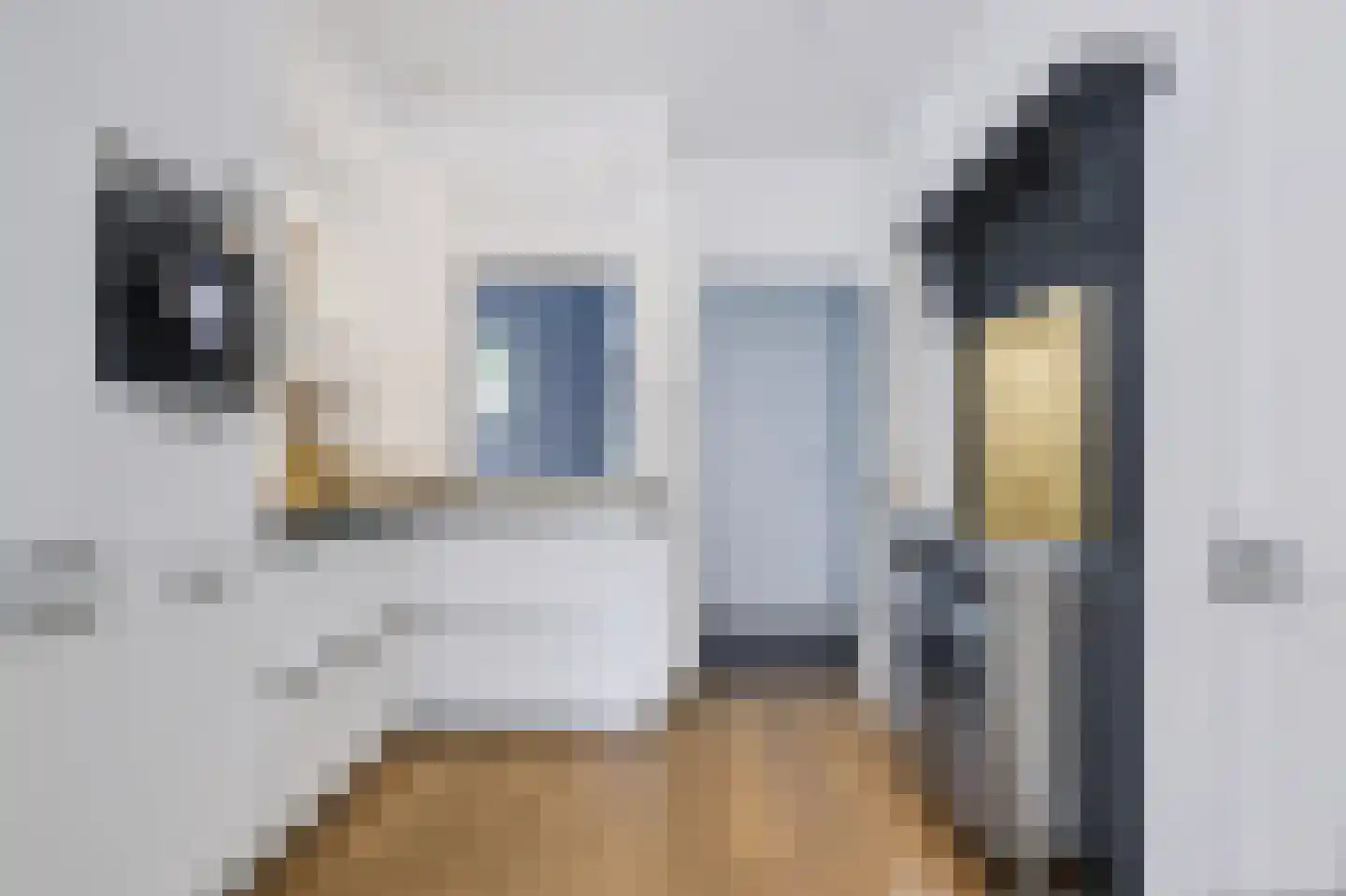 Da Costalaan 2 Apeldoorn thumbnail 10