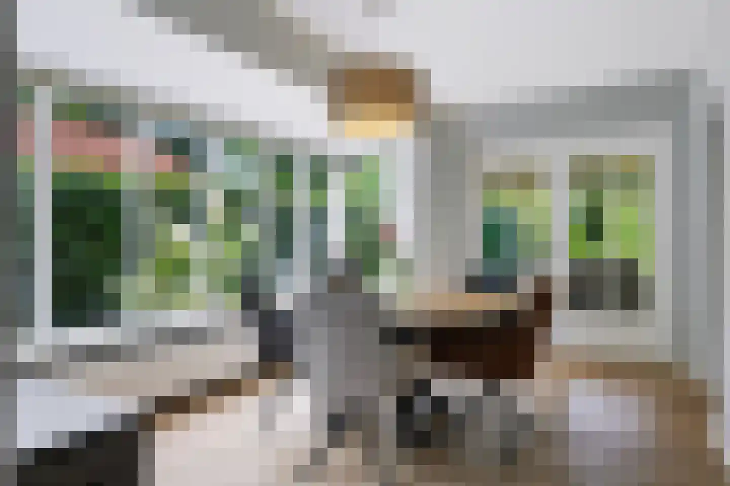 Da Costalaan 2 Apeldoorn thumbnail 13