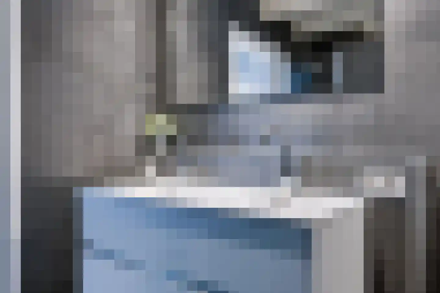 Da Costalaan 2 Apeldoorn thumbnail 18
