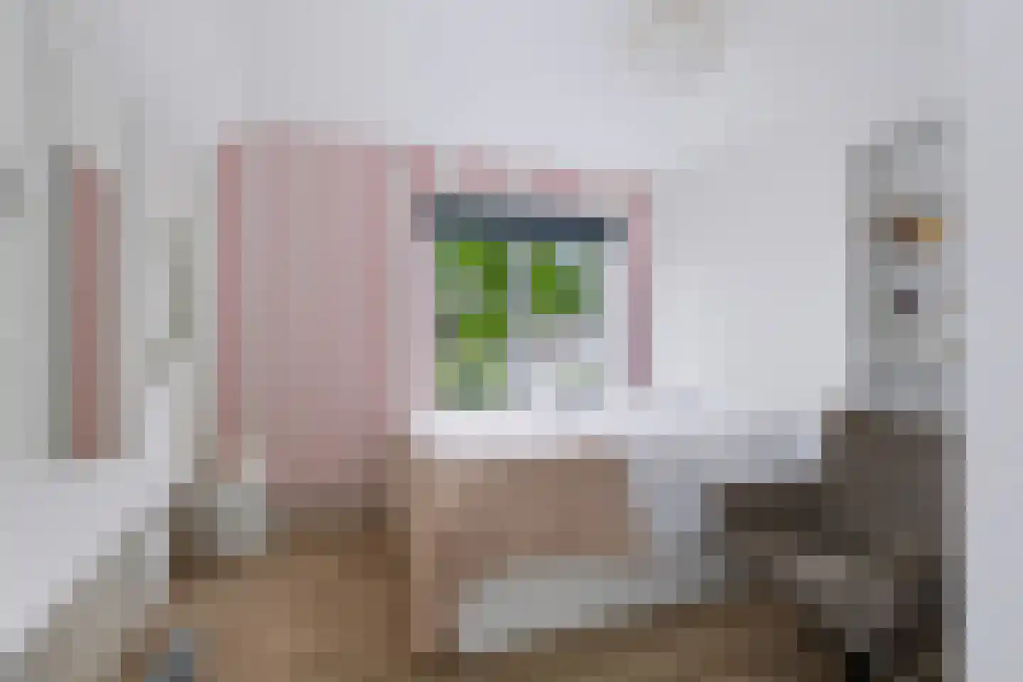 Da Costalaan 2 Apeldoorn thumbnail 20