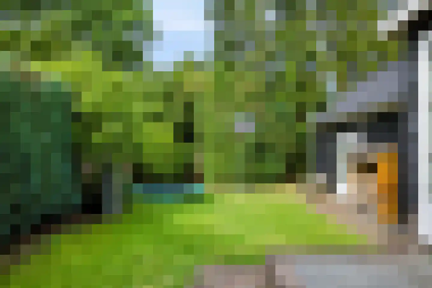 Da Costalaan 2 Apeldoorn thumbnail 37