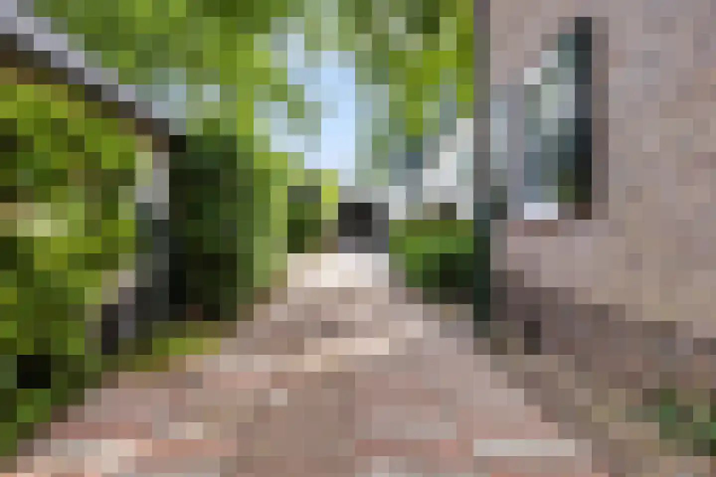 Da Costalaan 2 Apeldoorn thumbnail 5