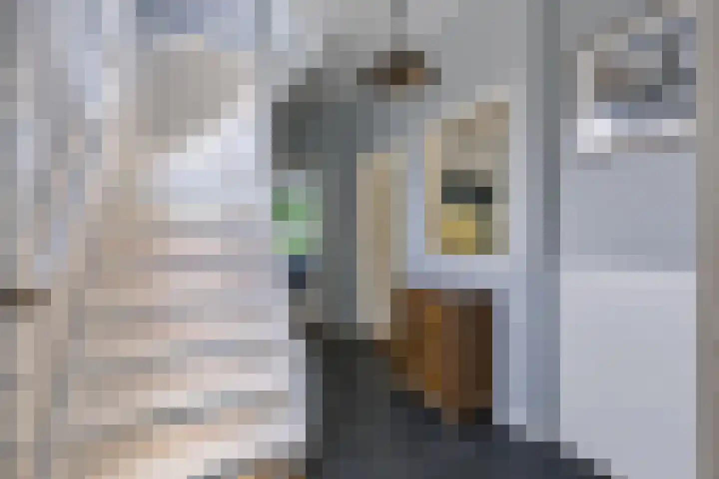 Da Costalaan 2 Apeldoorn thumbnail 6