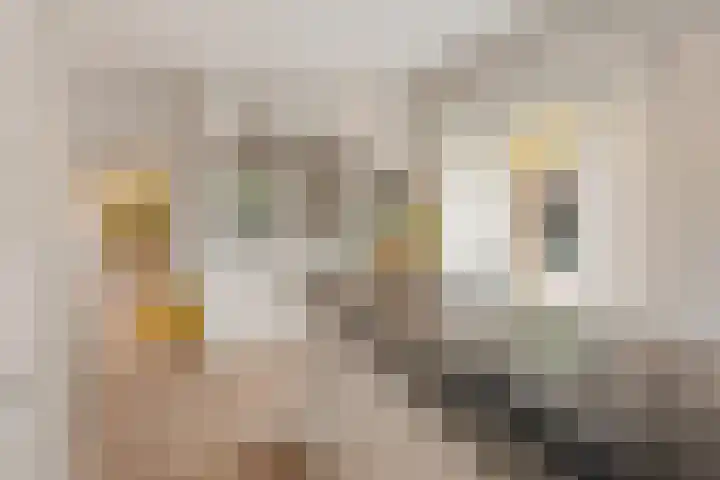 Da Costalaan 22 Bilthoven thumbnail 16