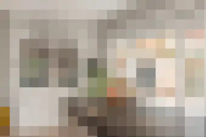 Da Costalaan 22 Bilthoven thumbnail 19