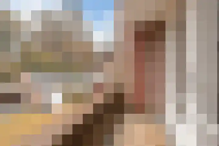 Da Costalaan 22 Bilthoven thumbnail 29