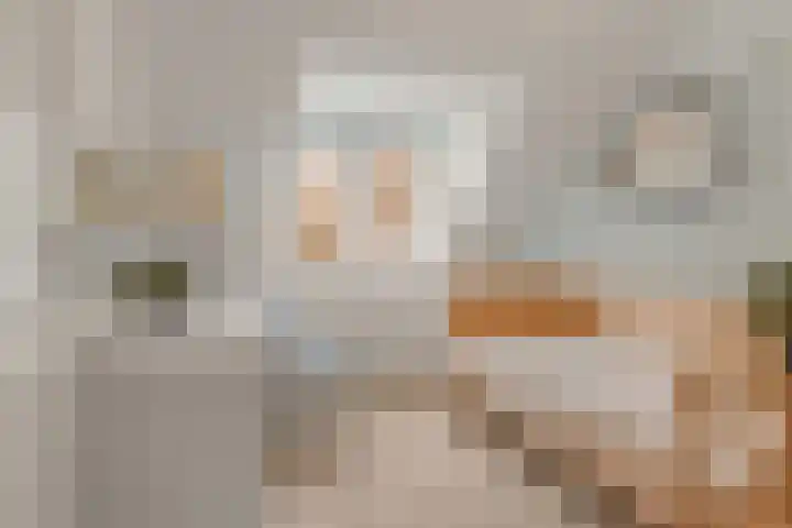 Da Costalaan 22 Bilthoven thumbnail 32