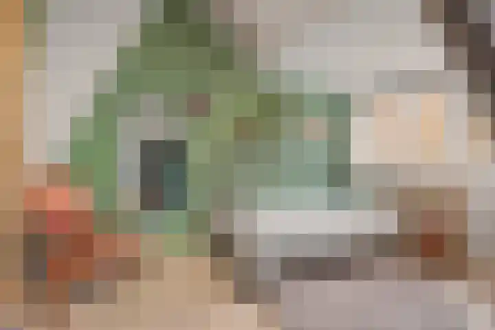 Da Costalaan 22 Bilthoven thumbnail 34