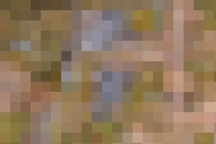 Da Costalaan 22 Bilthoven thumbnail 46