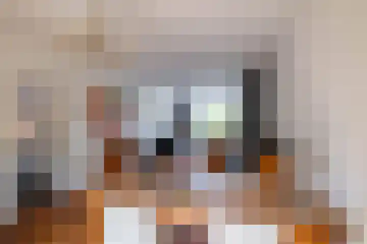 Da Costalaan 22 Haren Gn thumbnail 13