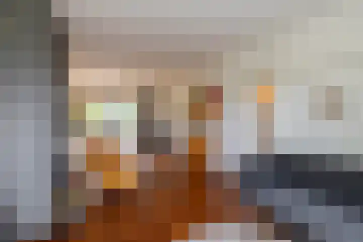 Da Costalaan 22 Haren Gn thumbnail 16