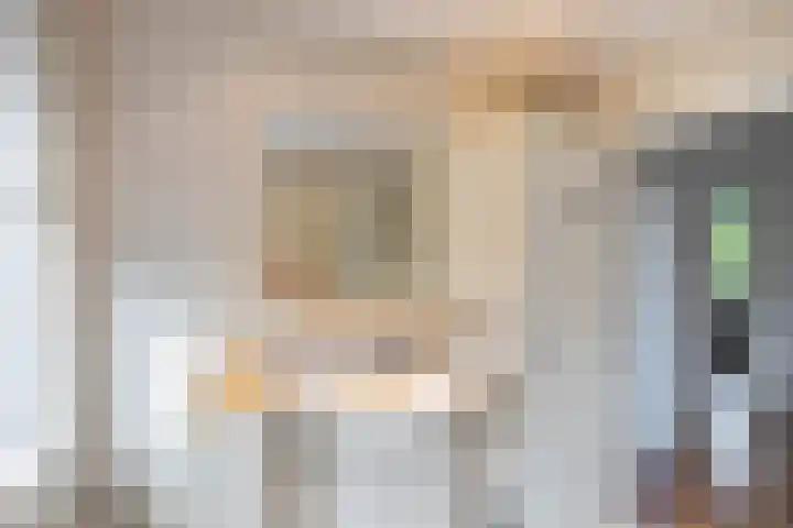 Da Costalaan 22 Haren Gn thumbnail 21