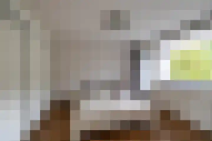 Da Costalaan 22 Haren Gn thumbnail 25