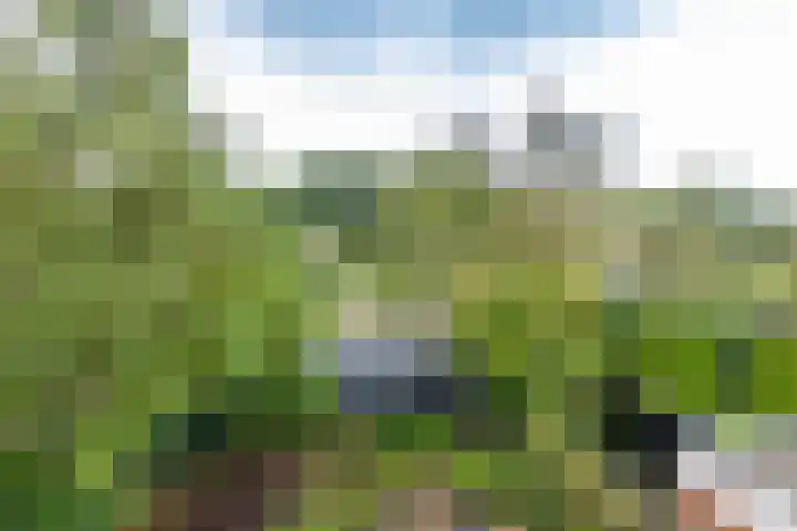 Da Costalaan 22 Haren Gn thumbnail 28