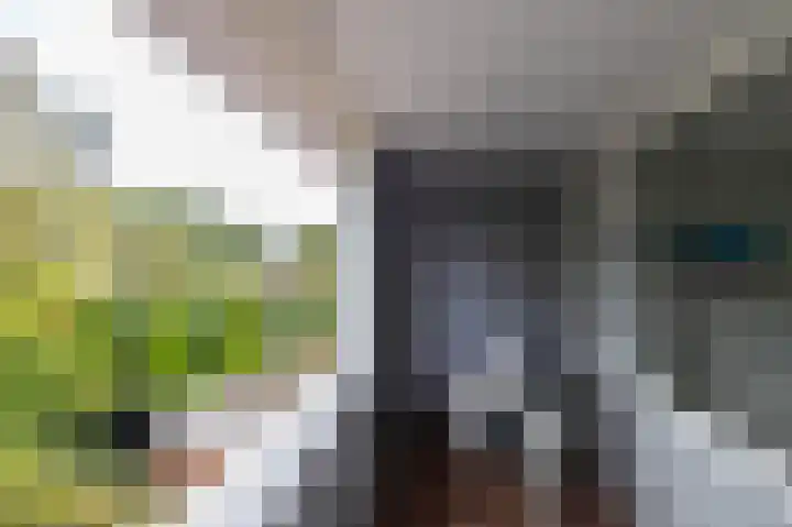 Da Costalaan 22 Haren Gn thumbnail 29