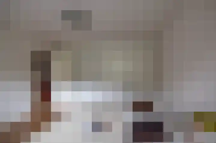 Da Costalaan 22 Haren Gn thumbnail 30