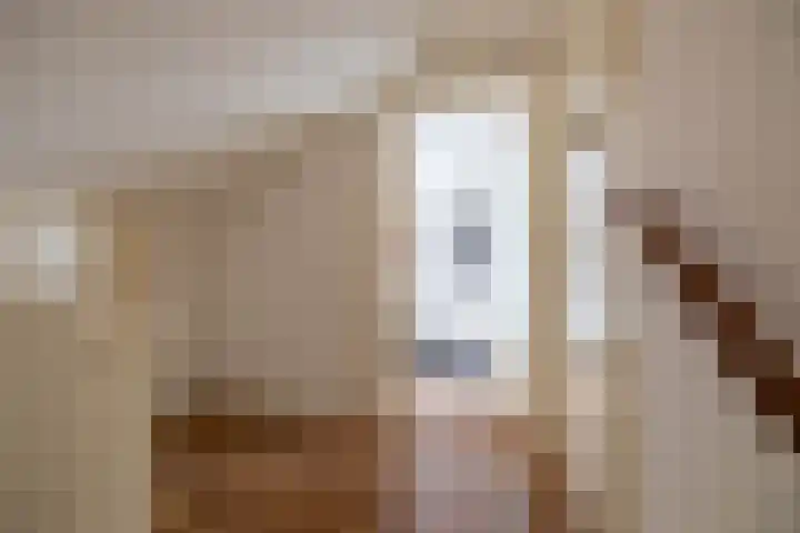 Da Costalaan 22 Haren Gn thumbnail 34