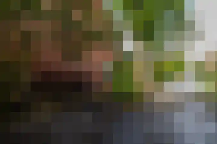 Da Costalaan 22 Haren Gn thumbnail 35