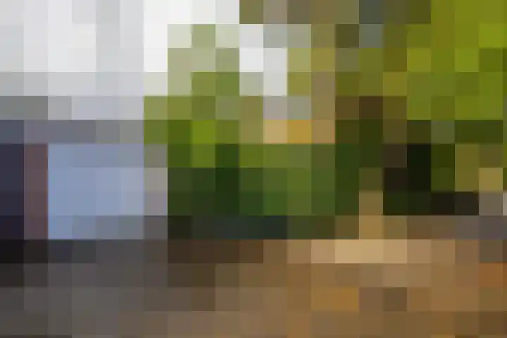 Da Costalaan 22 Haren Gn thumbnail 36
