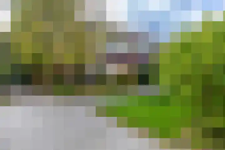 Da Costalaan 22 Haren Gn thumbnail 38