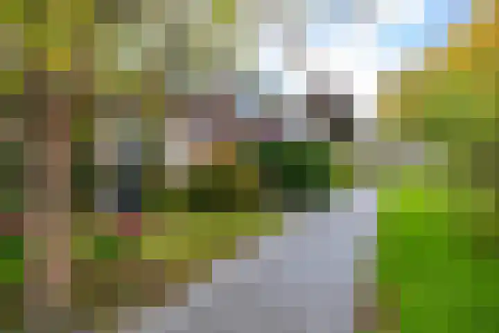 Da Costalaan 22 Haren Gn thumbnail 4