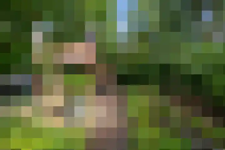 Da Costalaan 22 Haren Gn thumbnail 5