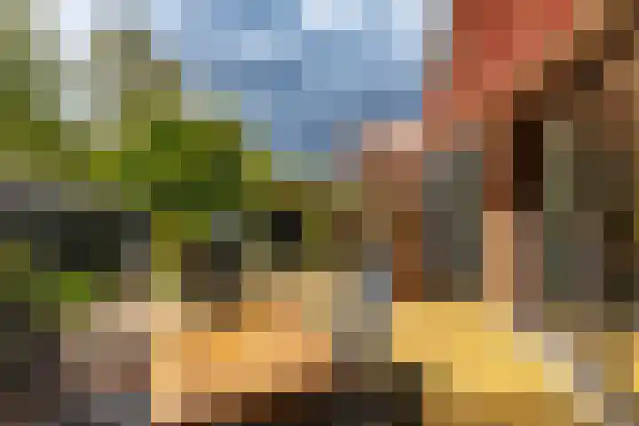 Da Costalaan 22 Haren Gn thumbnail 6
