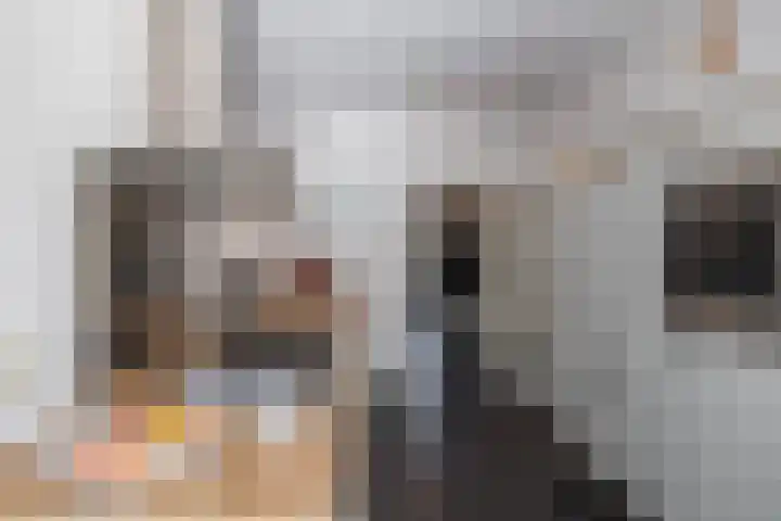 Da Costalaan 22 Haren Gn thumbnail 9