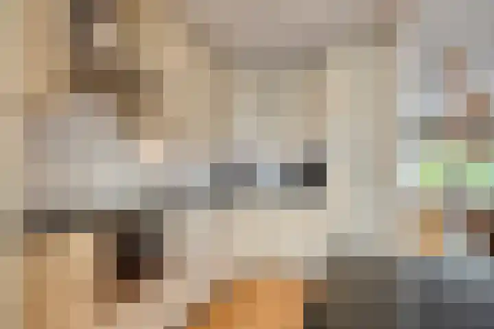 Da Costalaan 22 Ridderkerk thumbnail 10