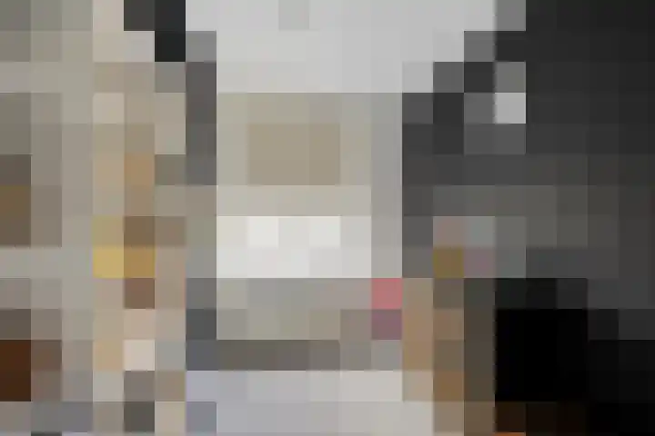 Da Costalaan 22 Ridderkerk thumbnail 15