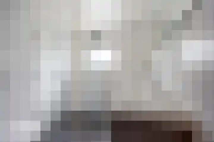 Da Costalaan 22 Ridderkerk thumbnail 16