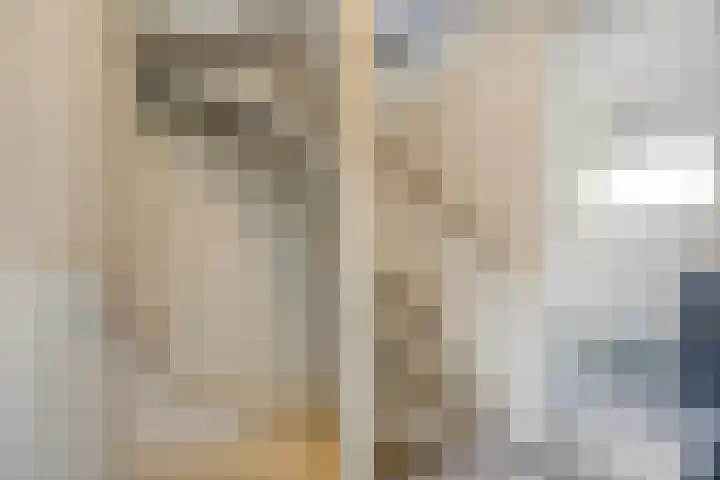Da Costalaan 22 Ridderkerk thumbnail 18