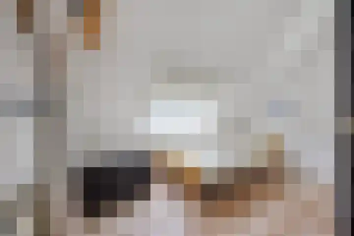 Da Costalaan 22 Ridderkerk thumbnail 20