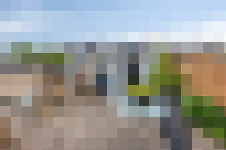 Da Costalaan 22 Ridderkerk thumbnail 23