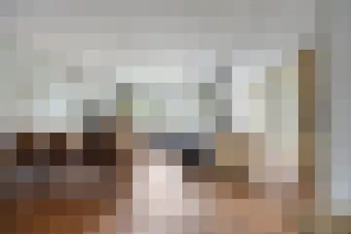 Da Costalaan 22 Ridderkerk foto 3