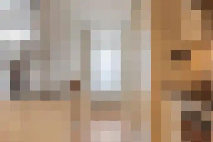 Da Costalaan 22 Ridderkerk thumbnail 9