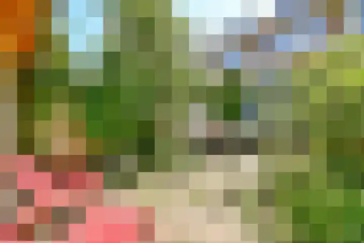 Da Costalaan 24 Amstelveen thumbnail 15