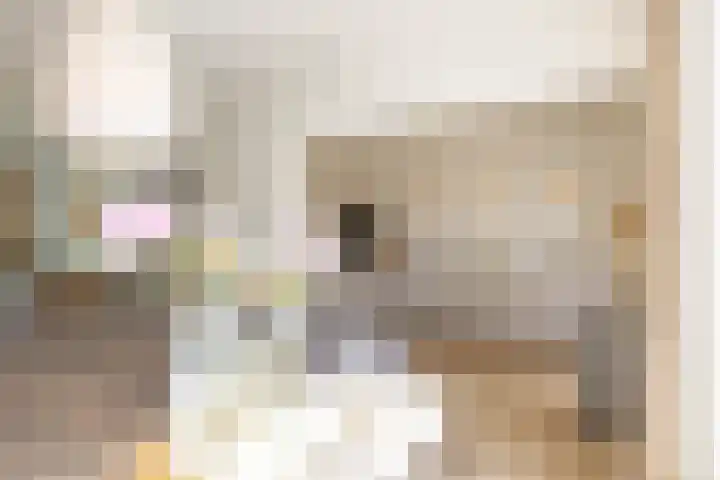 Da Costalaan 24 Haren Gn thumbnail 12