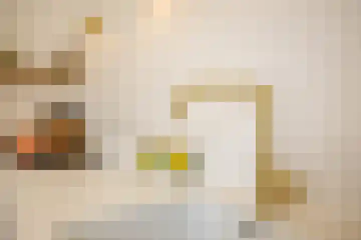 Da Costalaan 24 Haren Gn thumbnail 15
