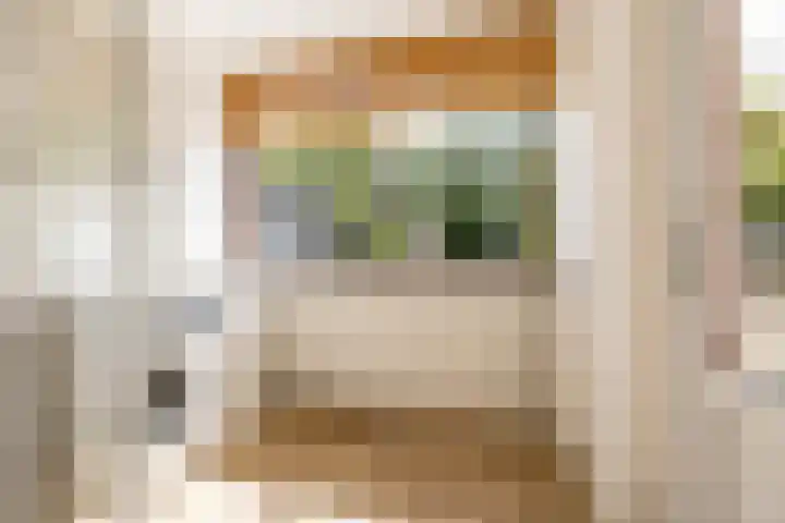 Da Costalaan 24 Haren Gn thumbnail 18