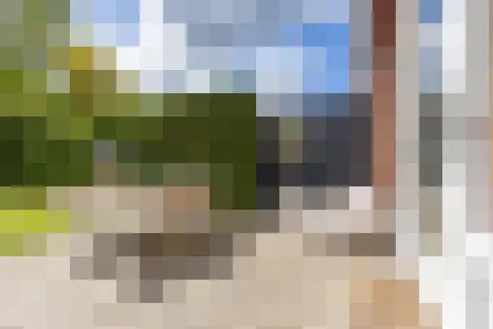 Da Costalaan 24 Haren Gn thumbnail 19